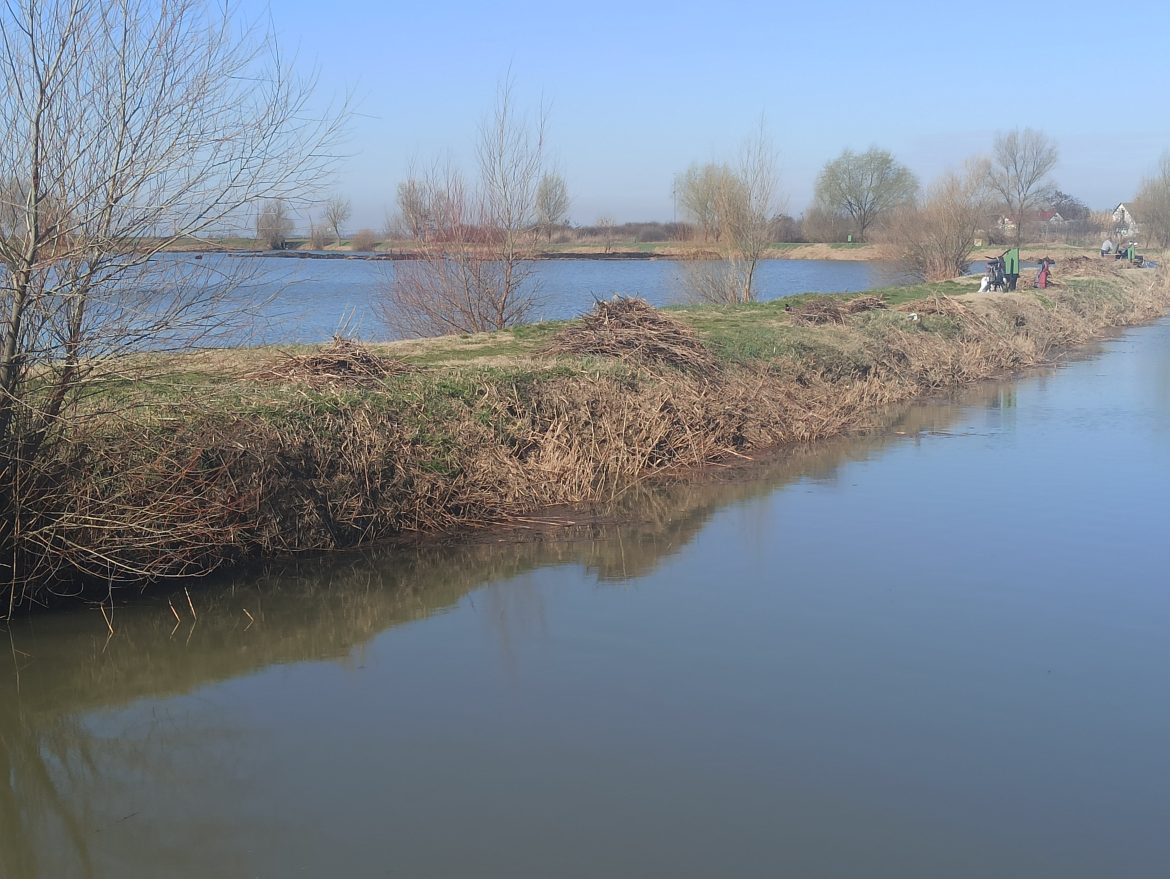 Kiszombor, Vályogos-tó, horgászok, vadkacsák