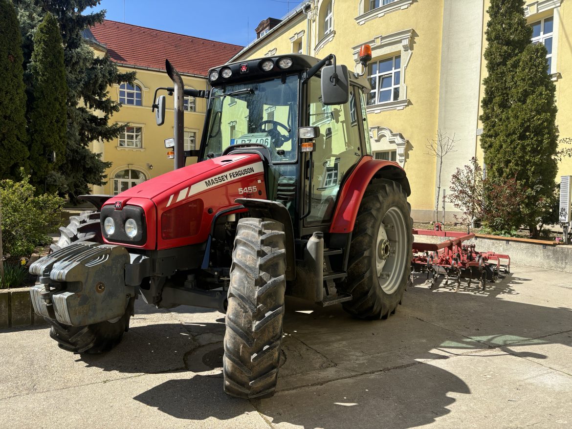 Boronapiknik, Makó, Galamb-technikum, Fotó: Vizi Viktória