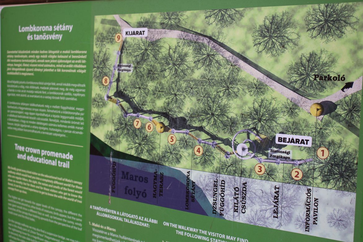 Lombkoronasétány, Makó,