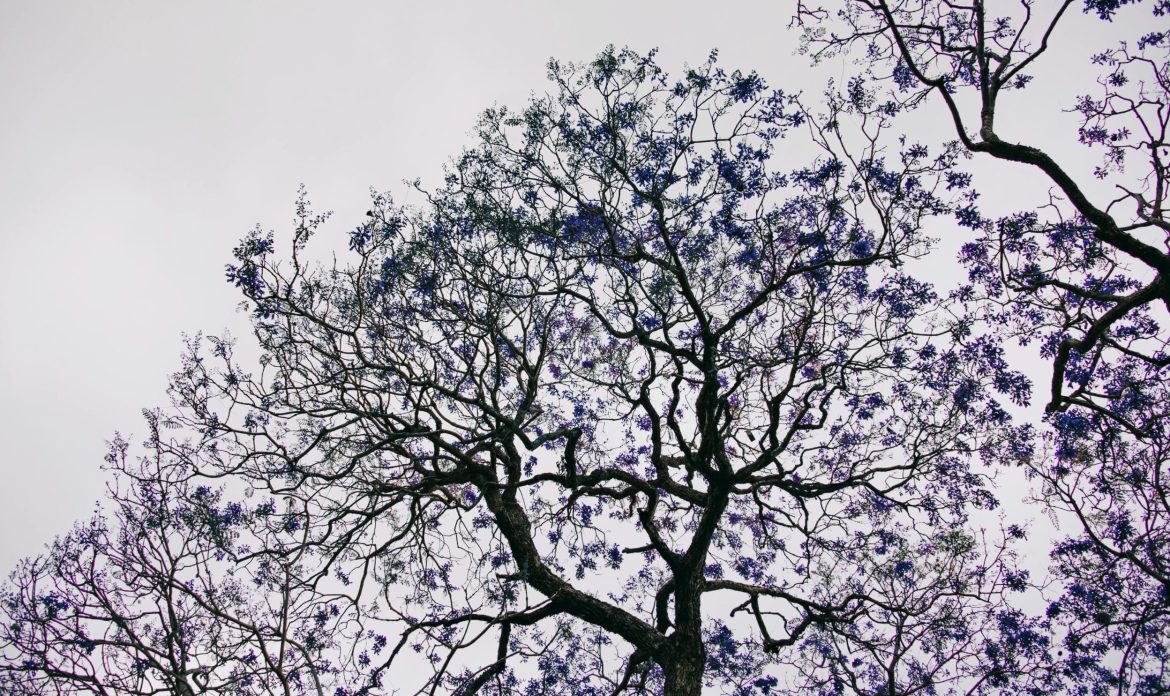 folytatódik a változékony időjárás