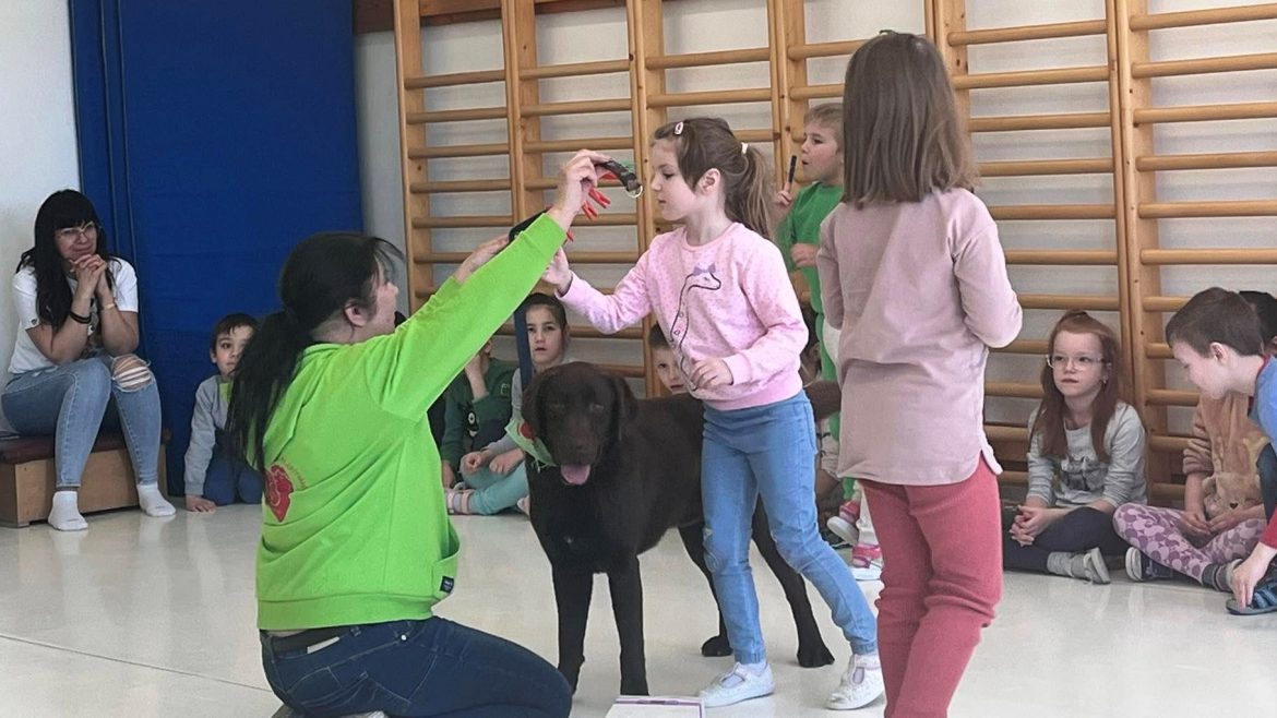 kutyaterápiás foglalkozás, Makó, fotó: Nagy Dóra