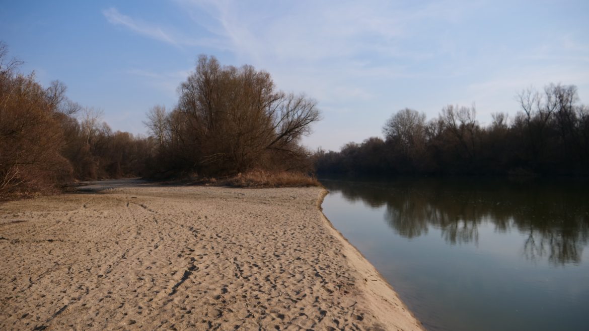 Maros, vízállás, aszály