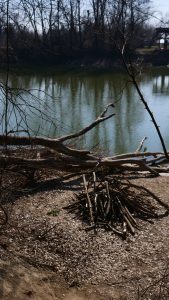 erdő, tűzgyújtási tilalom, Csongrád-Csanád vármegye, Maros-parti erdősáv