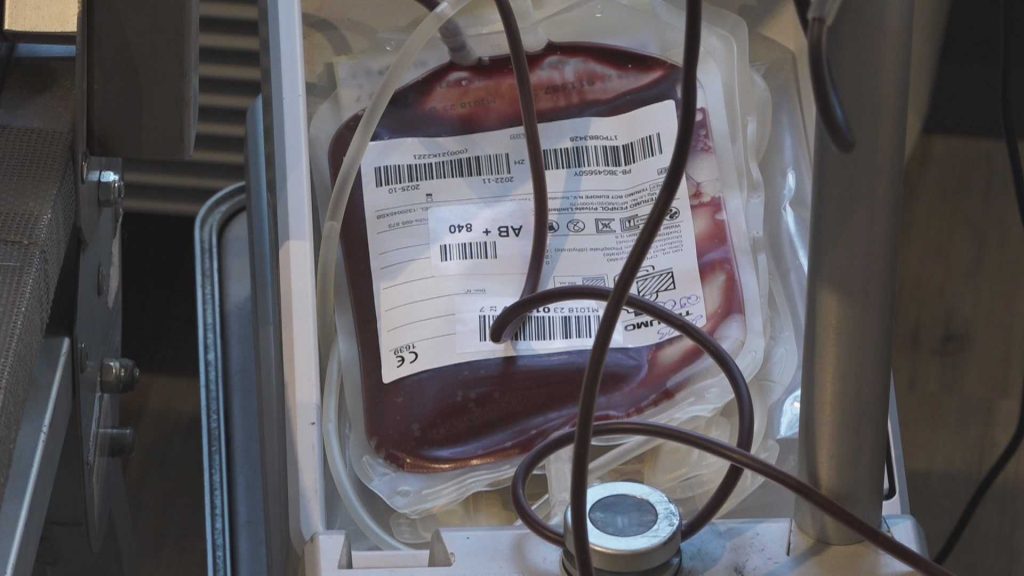 véradások Csongrád-Csanád vármegye településein, Makó, Szentes