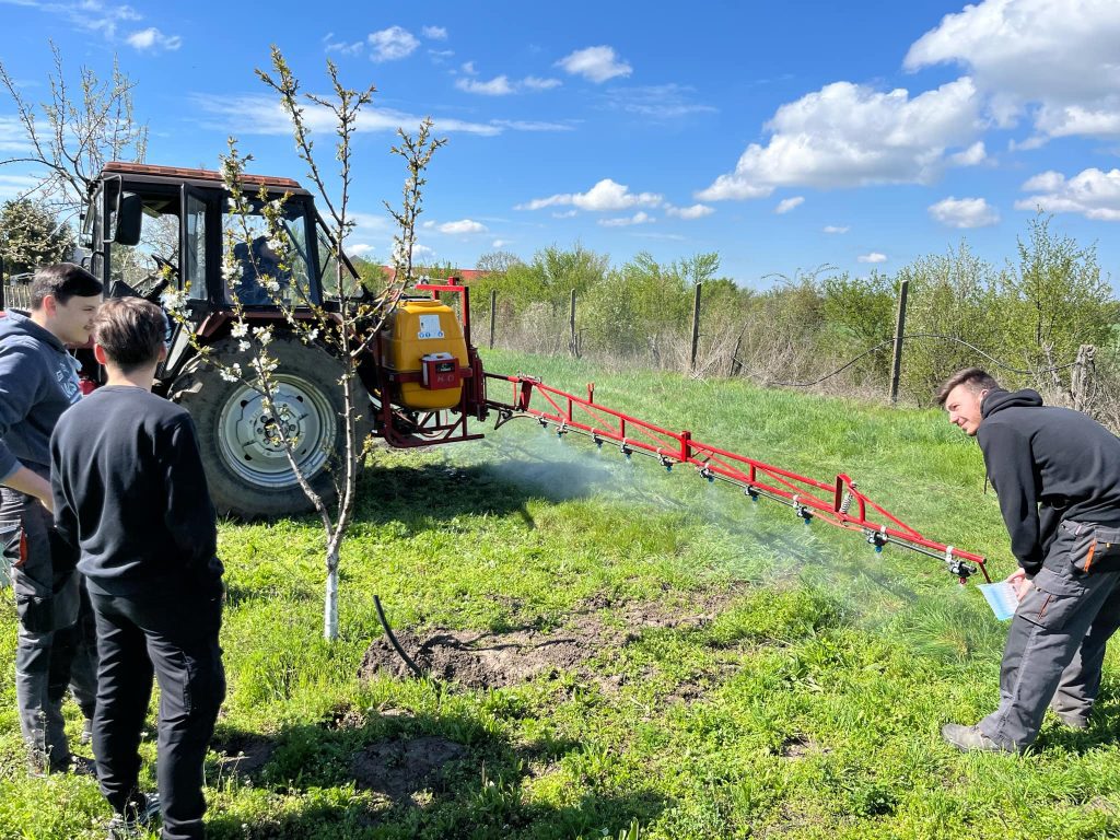 Galamb iskola, filmforgatás, kísérlet