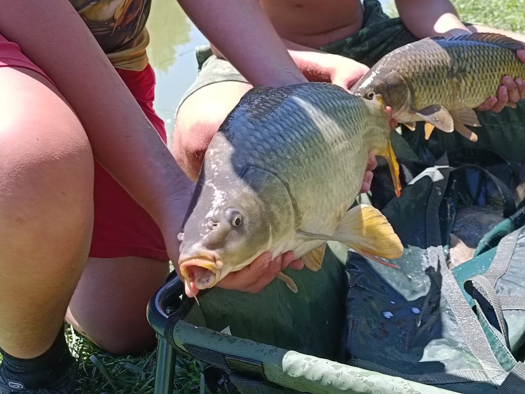 horgászverseny, Duocor, Deszk, fotó: Jeszenszky Zoltán