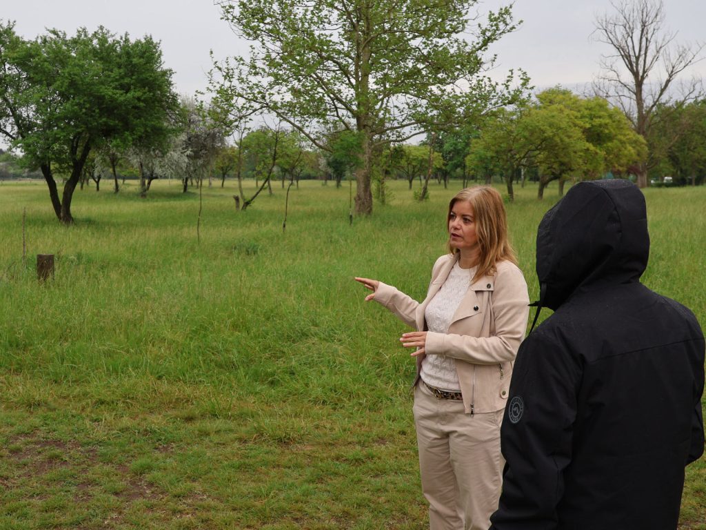 önkormányzati telkek, Botlik Anita, beépítés