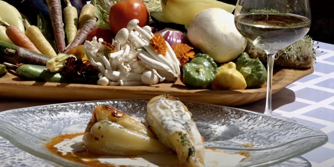 Szent-Györgyi Albert töltött paprikája, fotó: Makói Városi Televízió