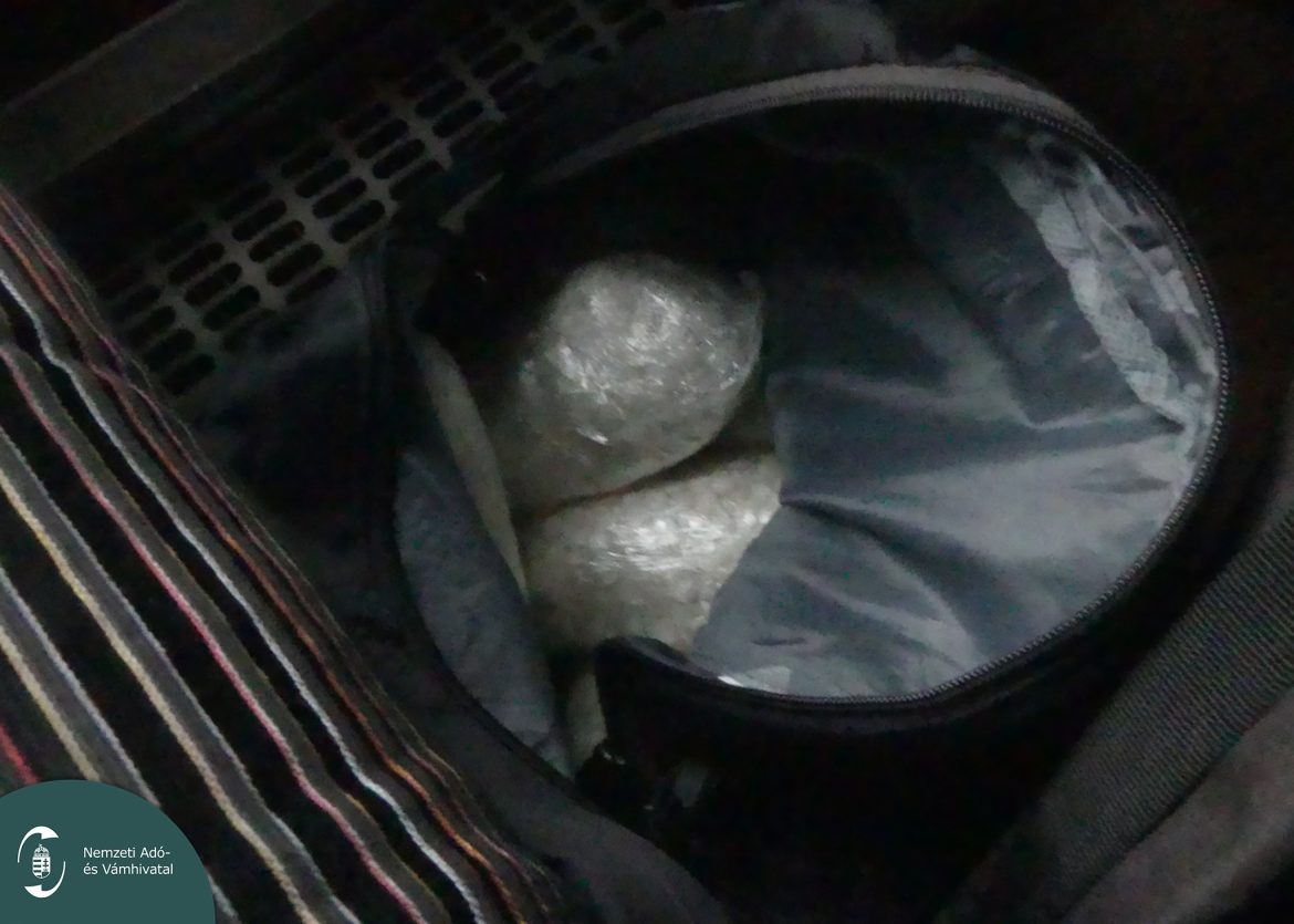 partidrog_Röszkén04