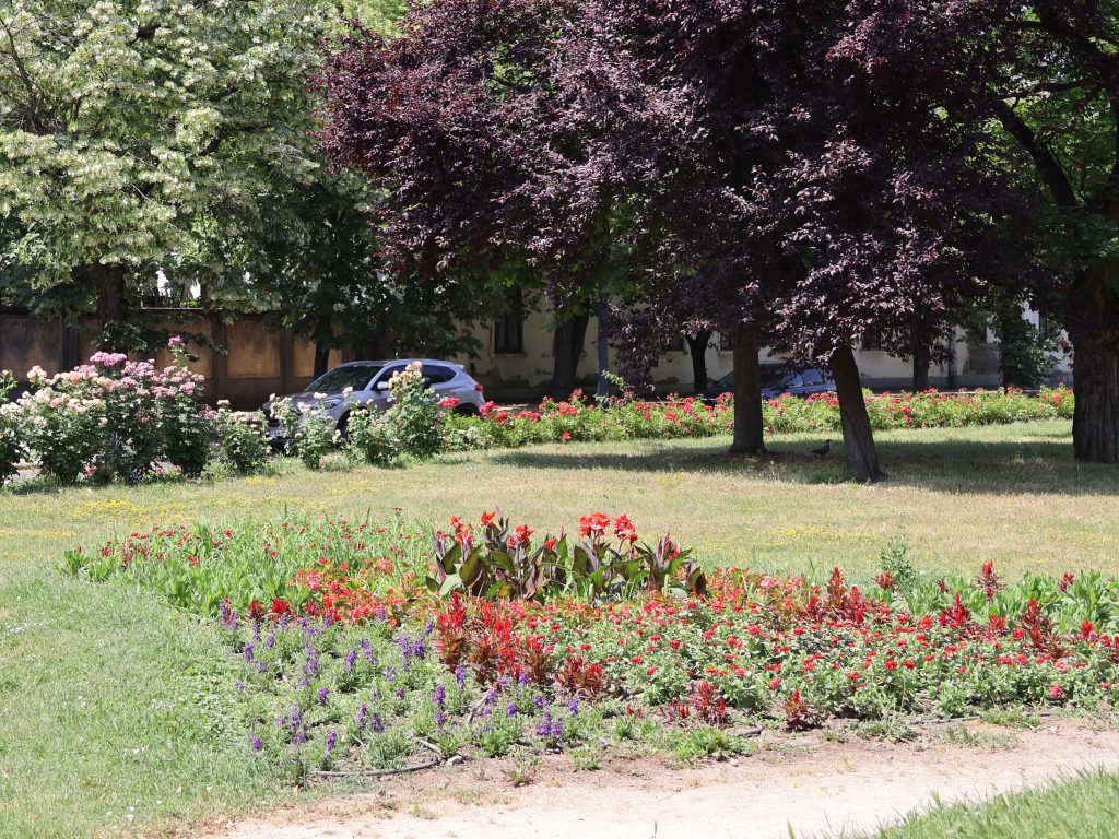 városüzemeltetés, Makó, Hegedűs László