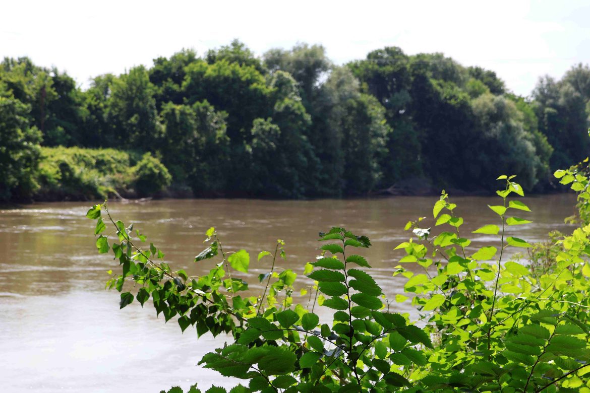 Maros, sótartalom, parajdi sóbánya, Makó fotó: Miklós András