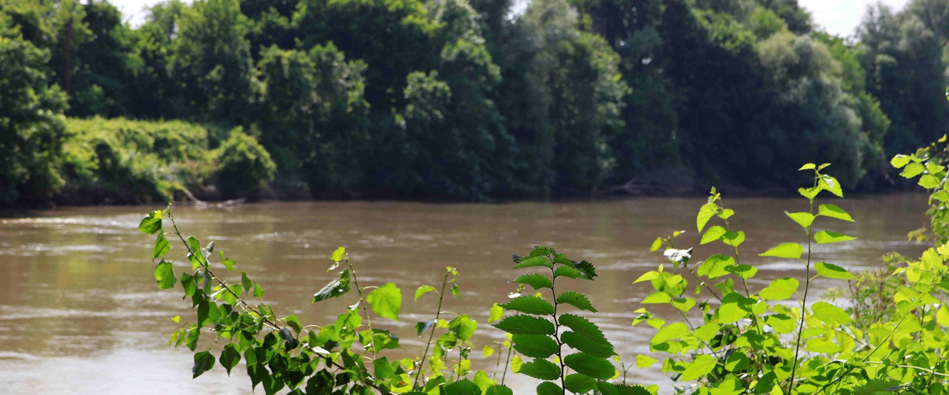 Maros, sótartalom, parajdi sóbánya, Makó fotó: Miklós András