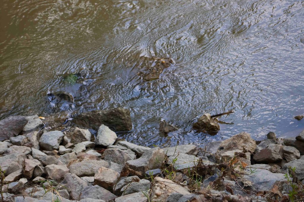 Maros, Makó, folyóvíz