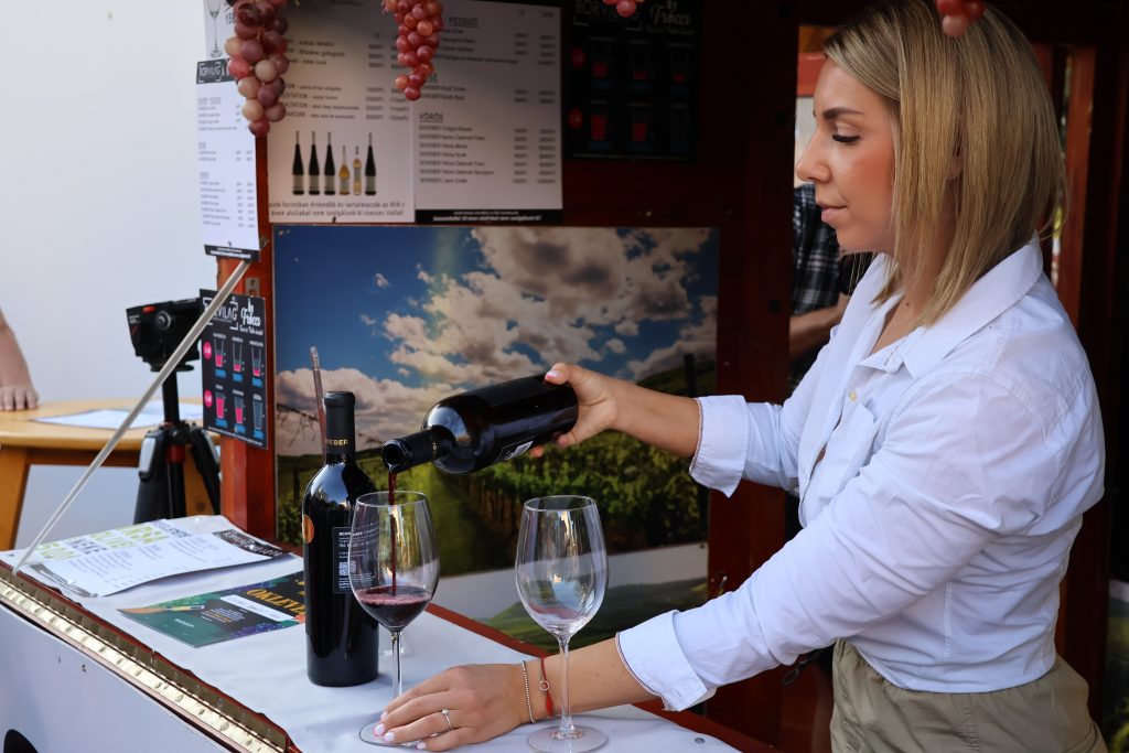 Makó Bora, Sarró Mihály-díj, BORzsongás