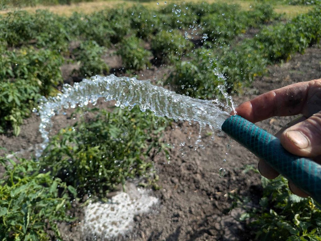 fúrt kutak, kerti kutak engedélyezése