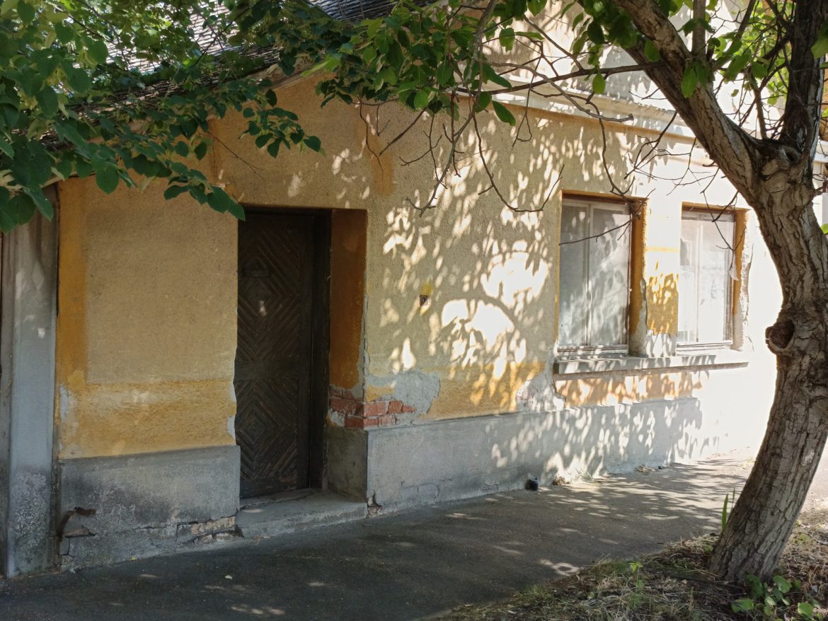 Múmiát találtak a Kálvária utcán