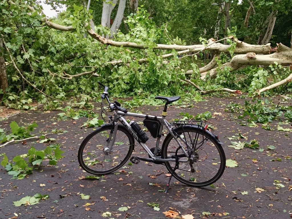 Szeged, újszegedi liget, Erzsébet-liget, vihar, viharkárok, fotó: Jeszenszky Zoltán