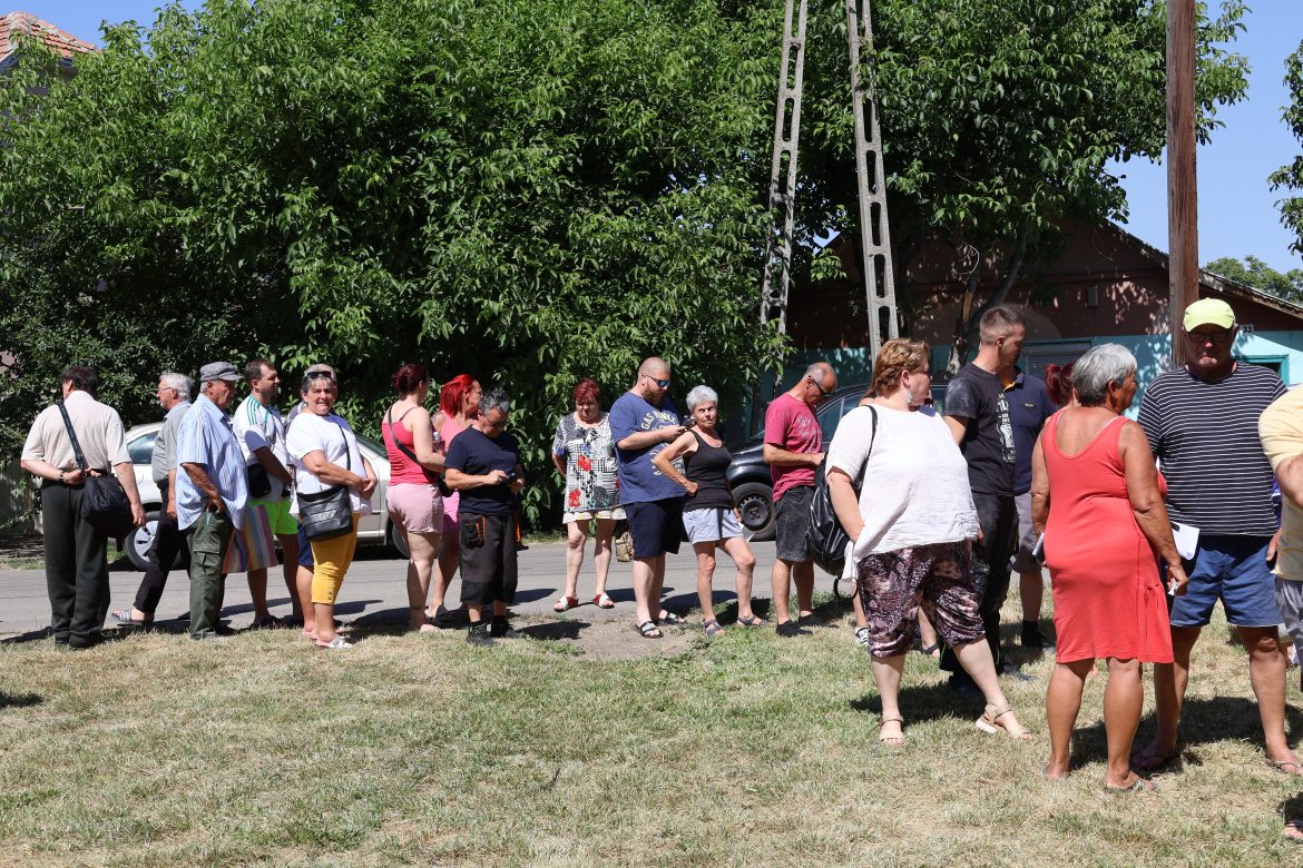 zöldhulladék-gyűjtő edényzet