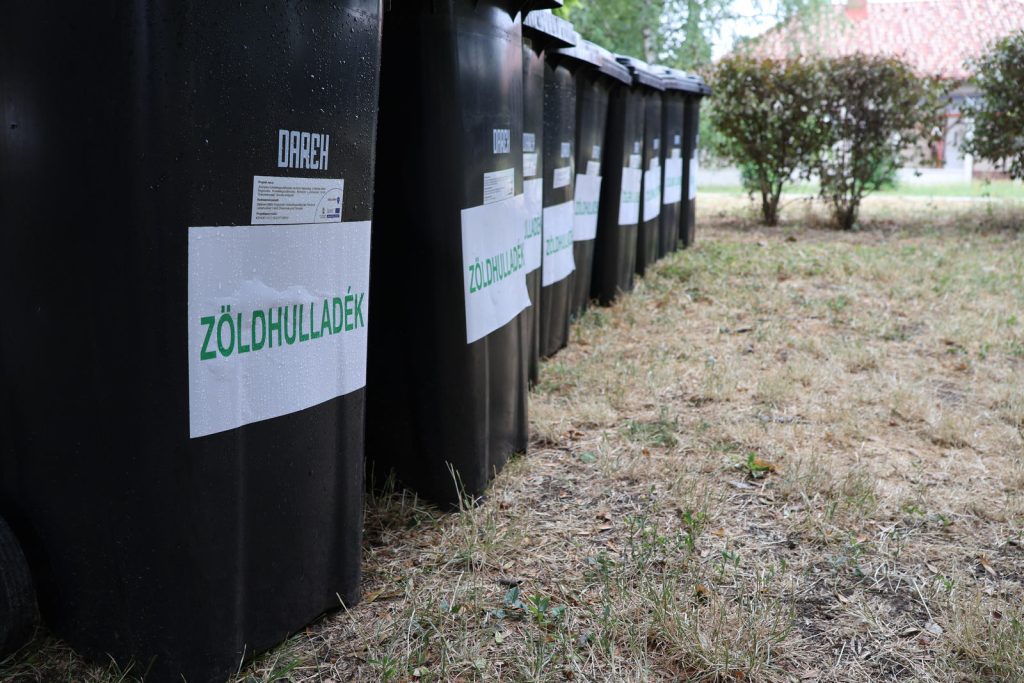 zöld kuka, Gerizdes, Makó