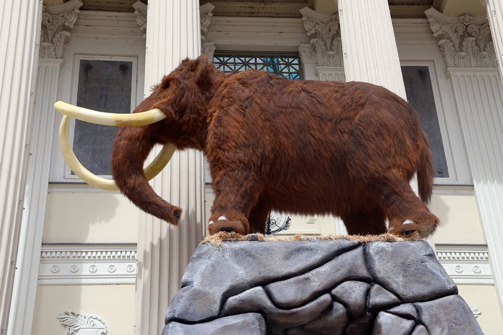 mamutok, A titokzatos jégkorszak, kiállítás a szegedi Móra Ferenc Múzeumban, fotó: Jeszenszky Zoltán