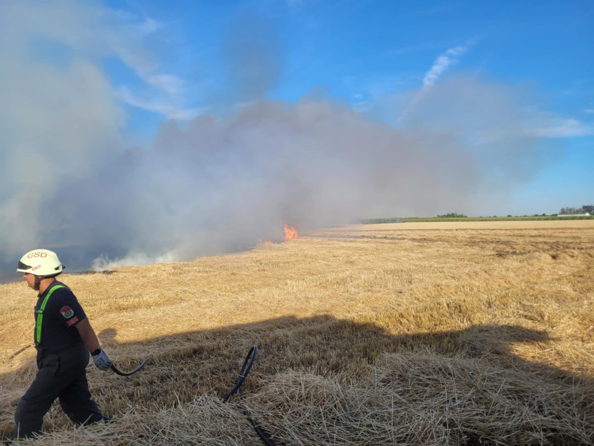 szabadtéri_tűz_katasztrófavédelem07