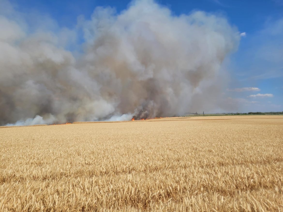 szabadtéri_tűz_katasztrófavédelem09