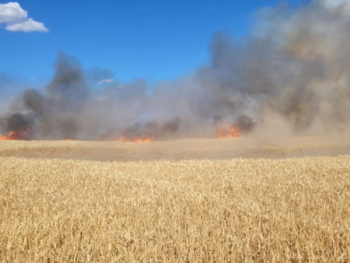 szabadtéri_tűz_katasztrófavédelem10