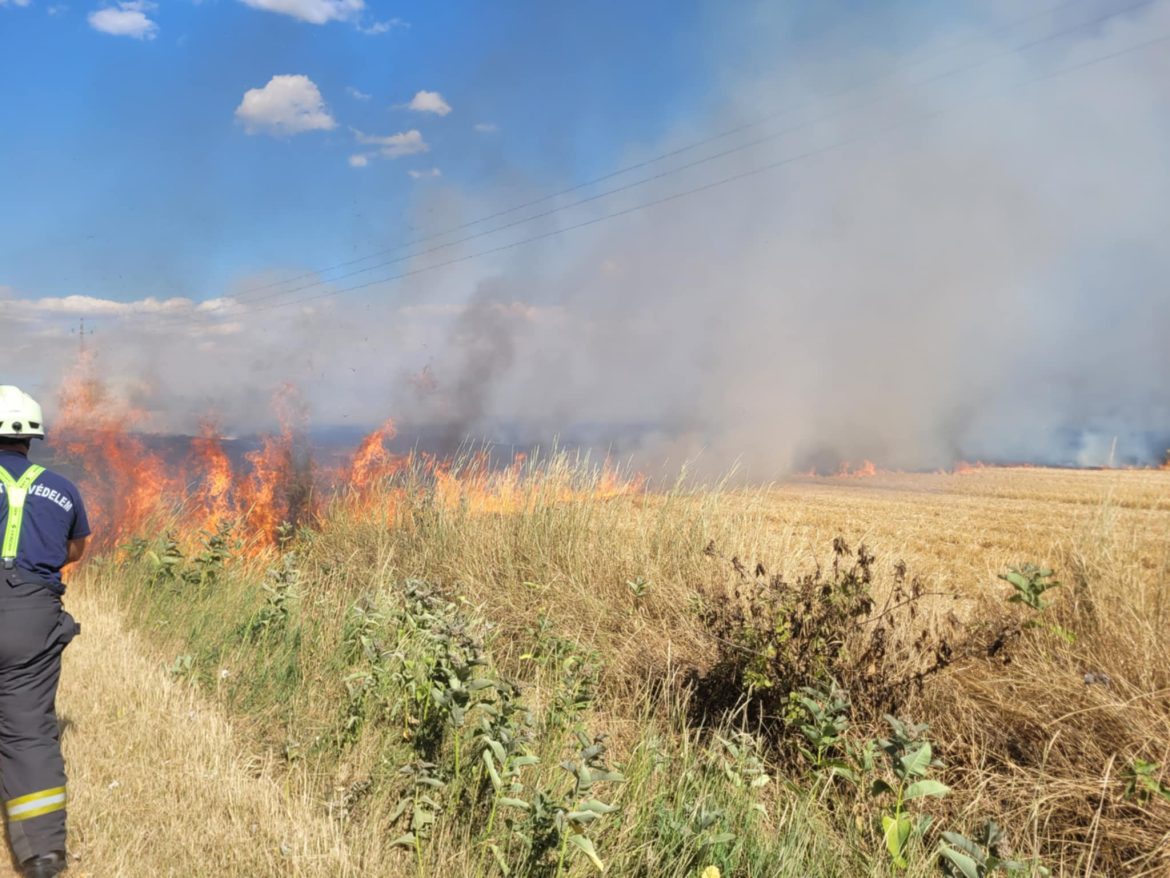 szabadtéri_tűz_katasztrófavédelem16