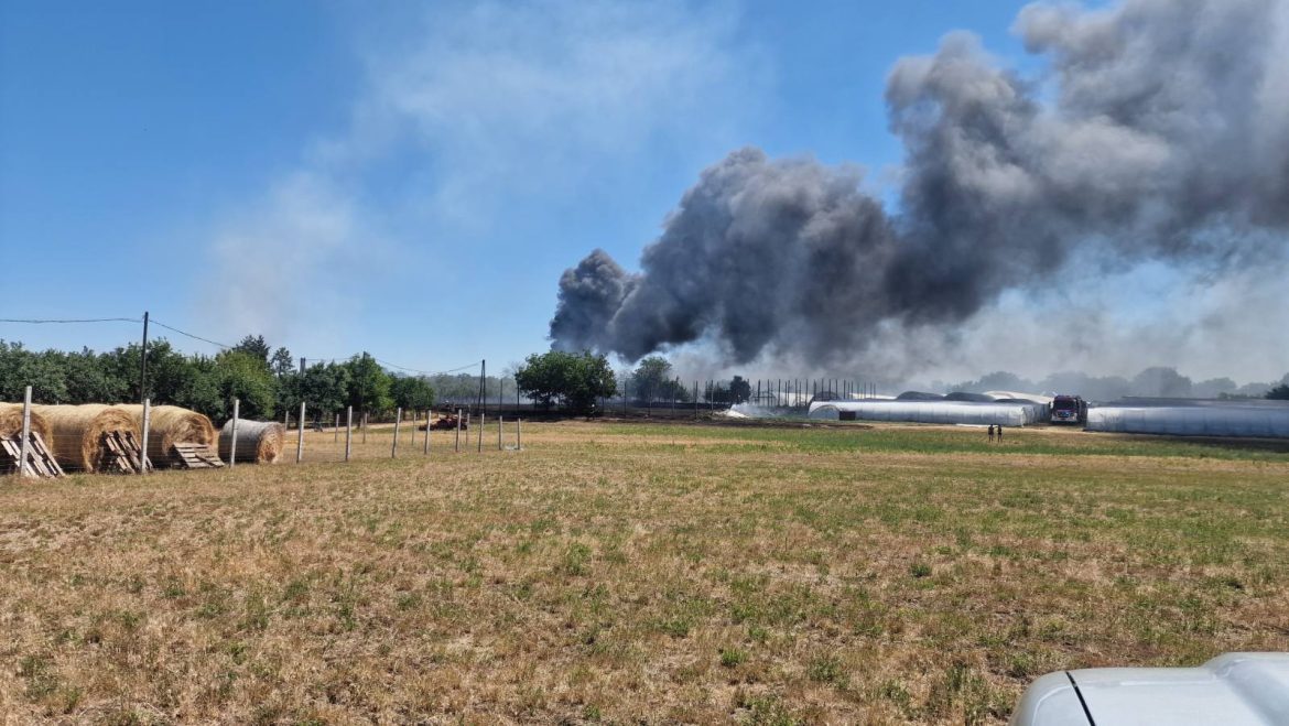 szabadtéri_tűz_katasztrófavédelem17