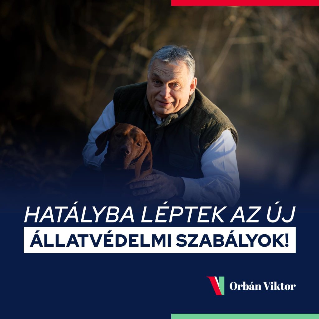 Augusztus 20-án hatályba léptek az új állatvédelmi szabályok. Fotó forrása: Orbán Viktor közösségi oldala