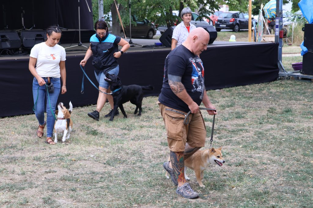 Kőröstorki Ebtanoda, bemutató, Kiszombor