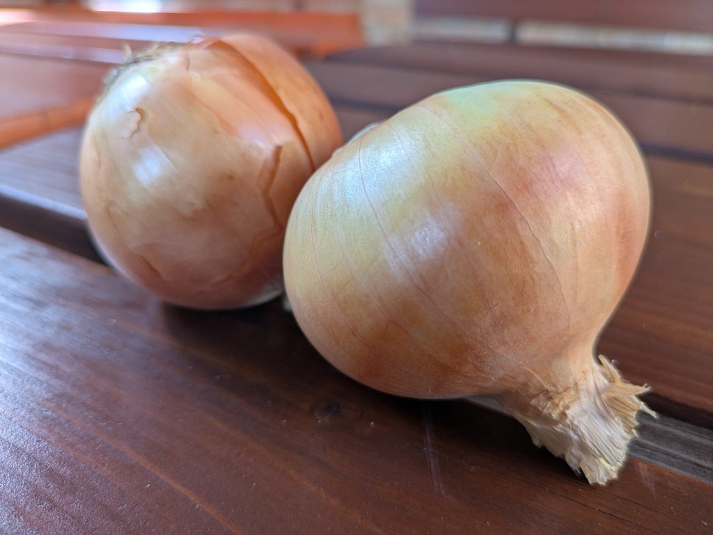 makói hagyma, vöröshagyma, hungarikum,