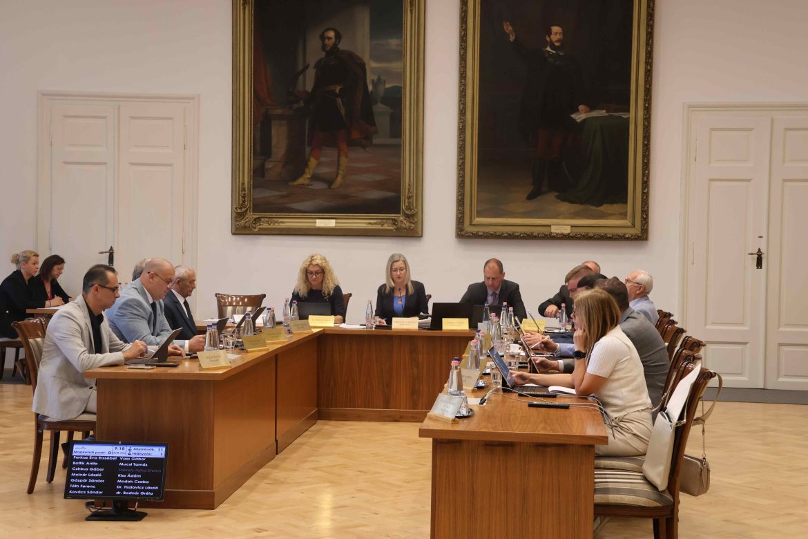 testületi ülés, Makó, Farkas Éva Erzsébet