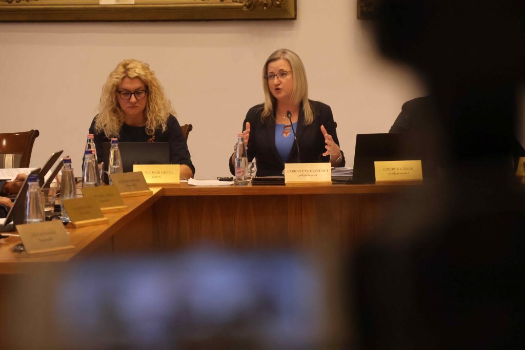 testületi ülés, Makó, Farkas Éva Erzsébet