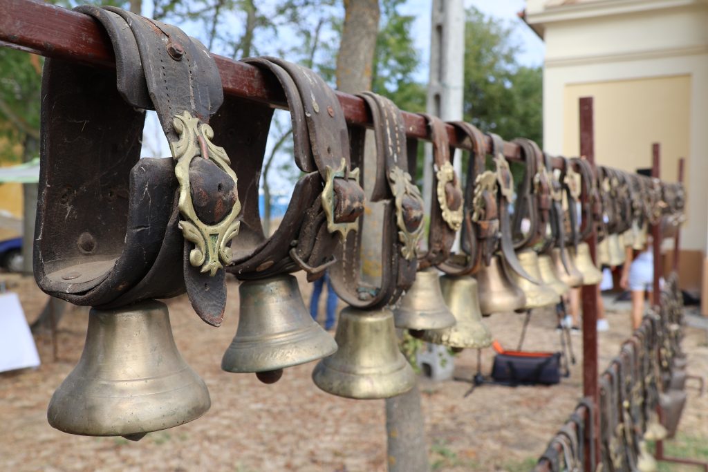 bogárzói búcsú, 2025. szeptember 7-én