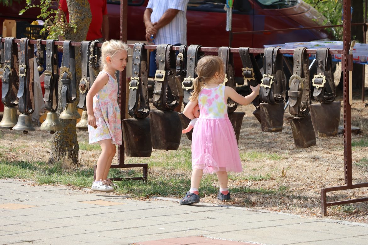 Bogárzói_búcsú01_fotó_Jeszenszky_Zoltán_11