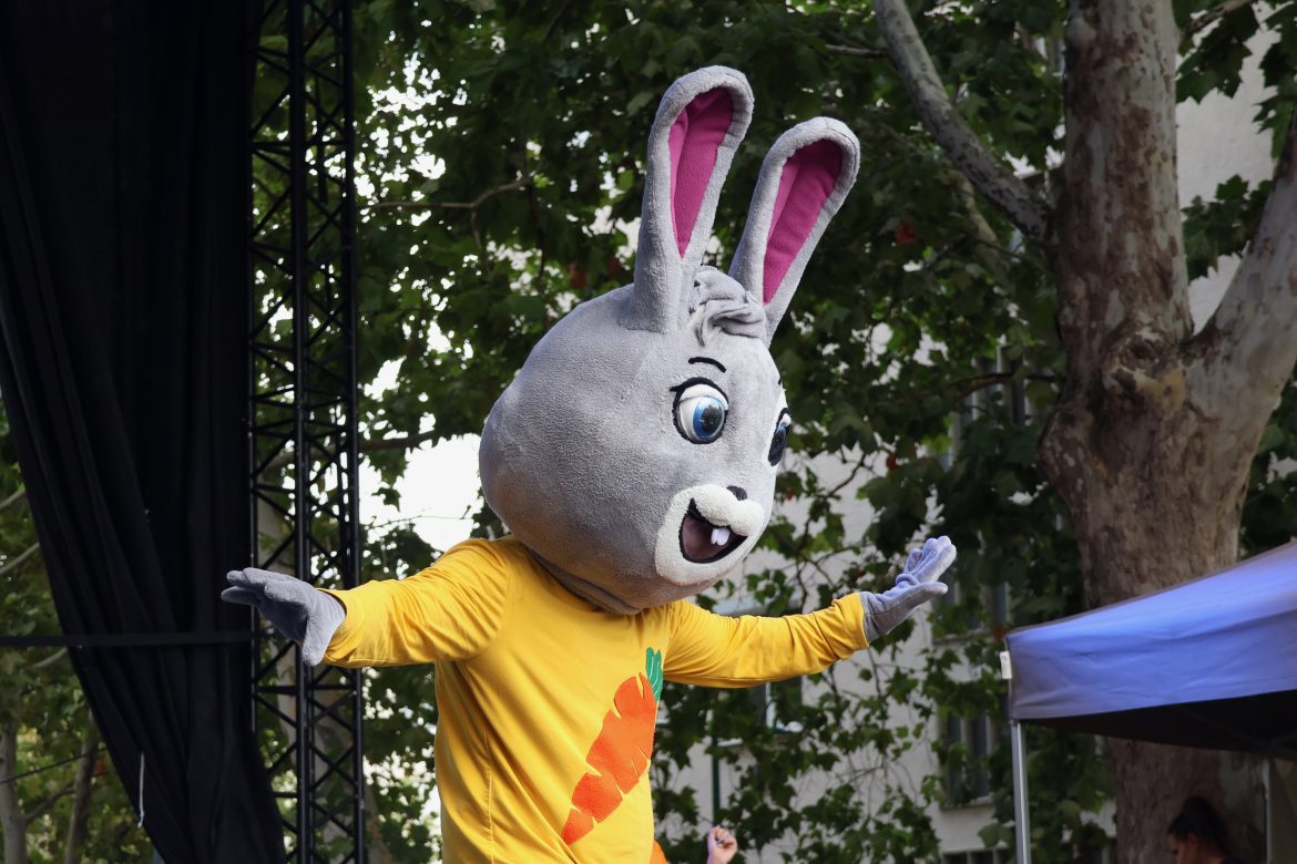 Brandnyúl, Makó, Hagymafesztivál, Széchenyi tér, 2025. szeptember 14. fotó: Jeszenszky Zoltán