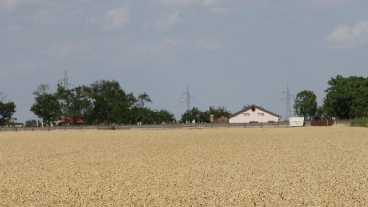 tanya, Makó, fotó: Jeszenszky Zoltán