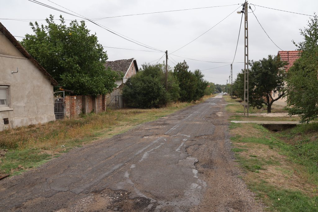 Maroslele, útpályázat, Drimba Tibor