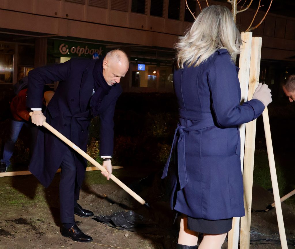 Makói látogatásának első állomásán, a Széchenyi téren, egy hársfát ültetett hétfőn Szalay-Bobrovniczky Kristóf honvédelmi miniszter két vendéglátója, Czirbus Gábor, a Fidesz választókerületi elnöke és Farkas Éva Erzsébet polgármester társaságában. Fotó: Halmágyi Gábor