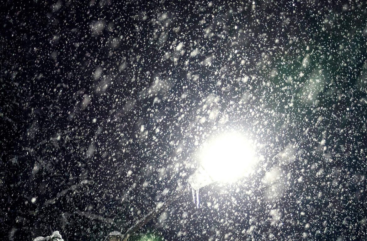 Fotó: Egor Kamelev: https://www.pexels.com/hu-hu/foto/1717212/