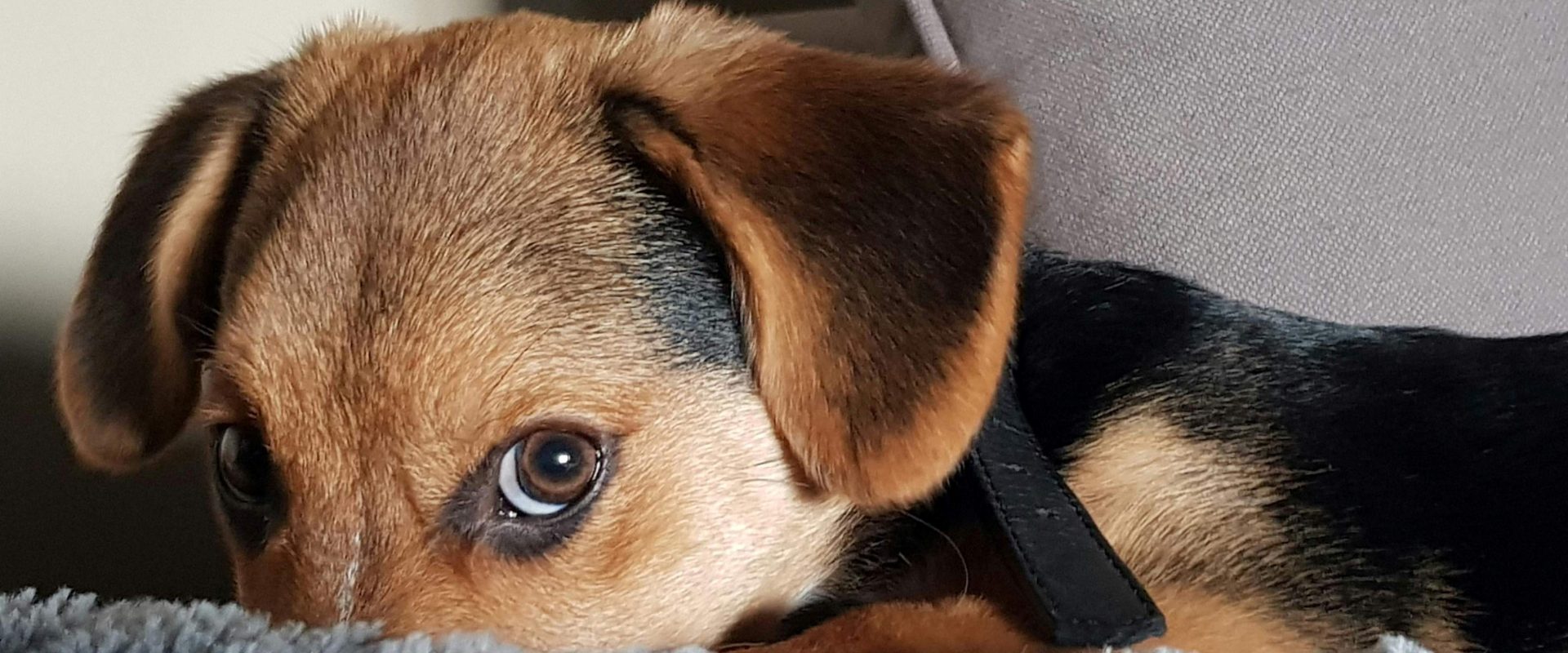 Fotó: Cynthia Vh: https://www.pexels.com/hu-hu/foto/1572849/