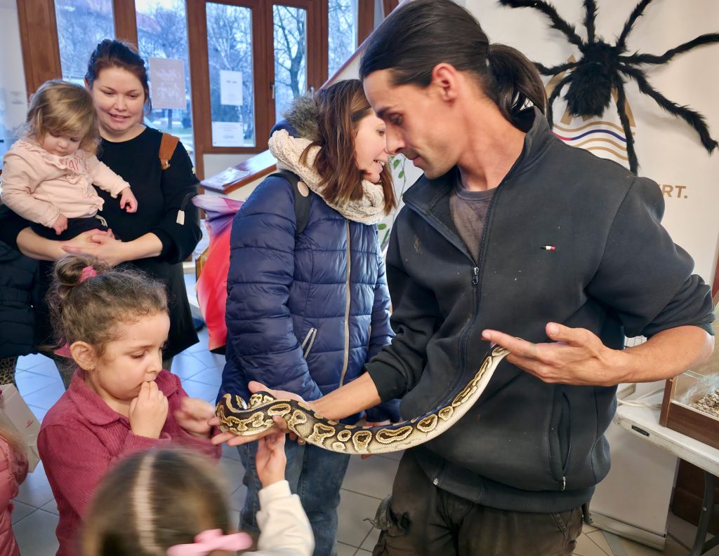 Makóra érkezett a Tarantula expó. Impozáns méretű madárpókok, veszélyes skorpiók és egzotikus hüllők voltak a terráriumokban. Fotó: Jeszenszky Zoltán
