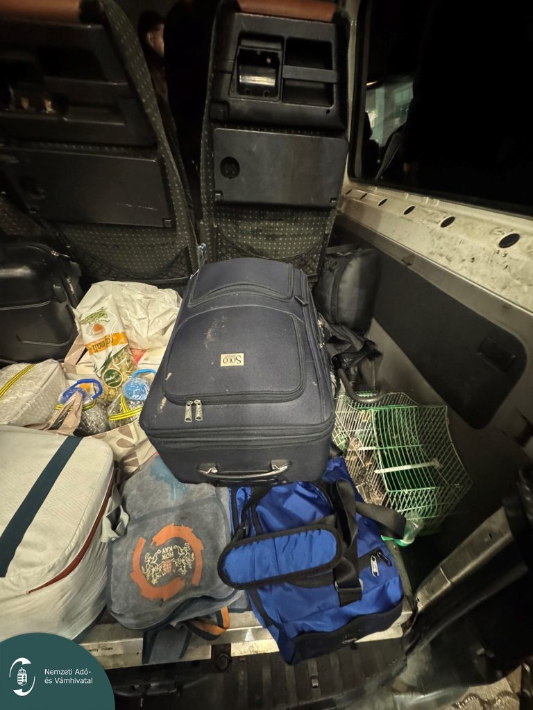 Énekesmadarakat próbált Magyarországra csempészni. Fotó: NAV