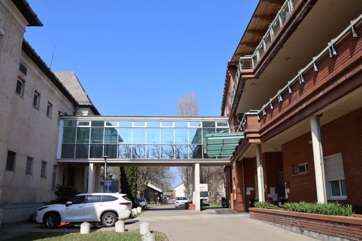 makói kórház, fotó: Borka Péter