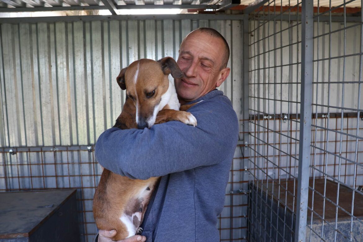 makói gyepmesteri telep, kutyák, fotó: Borka Péter, Göncz Gábor, gyepmester