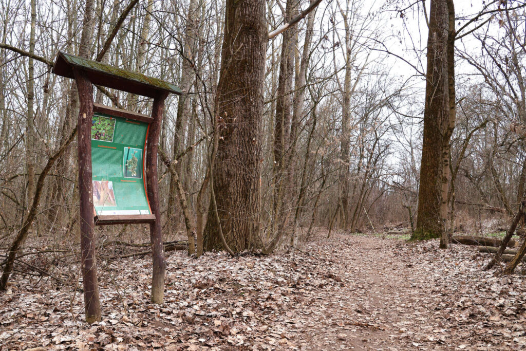 Maros-part, Tanösvény, tájékoztató tábla