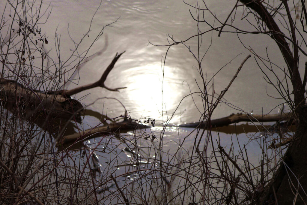 Maros, Maros-part, víz, csillogás